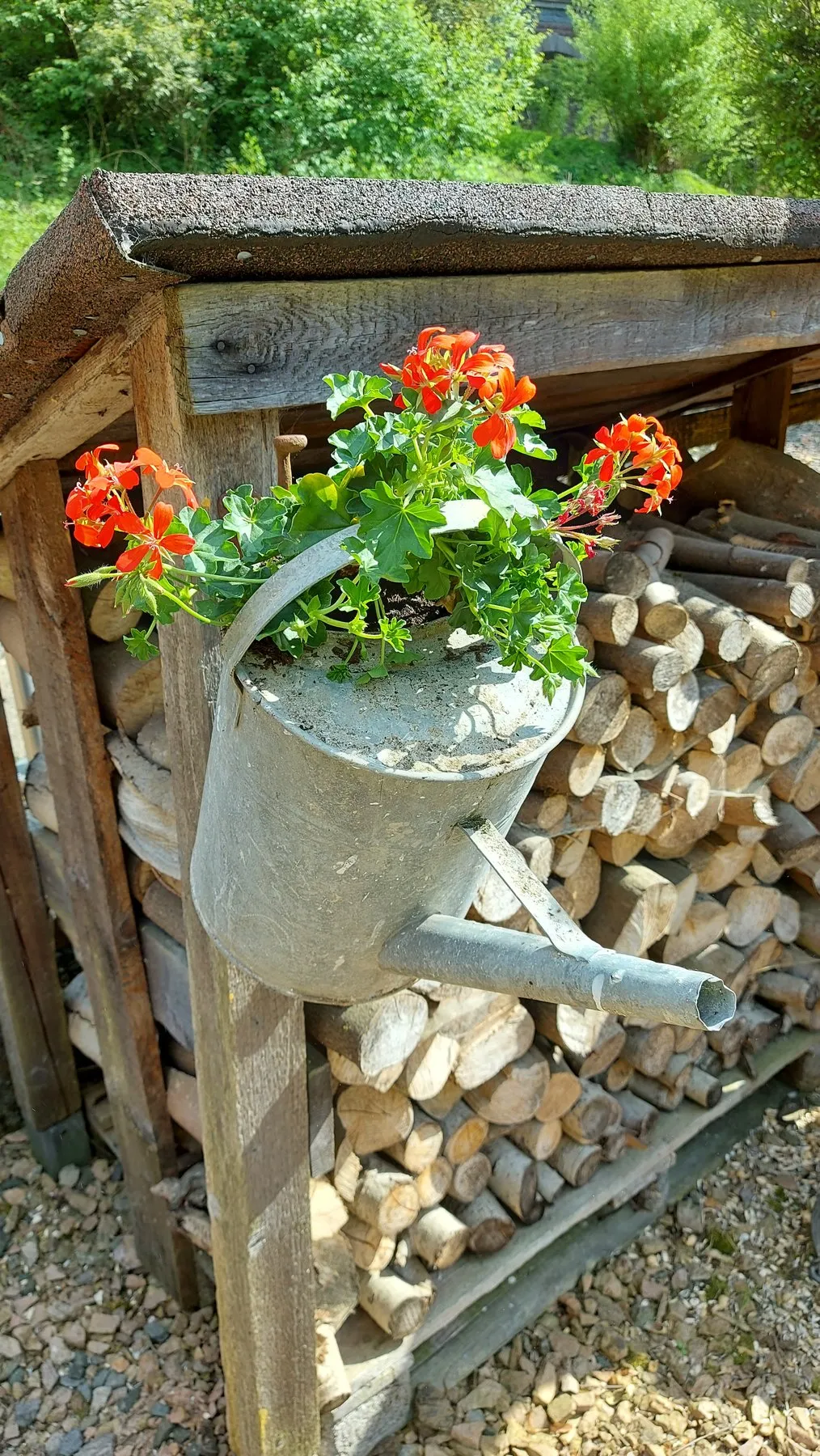 Het huis en de tuin van B&B Náš Dům