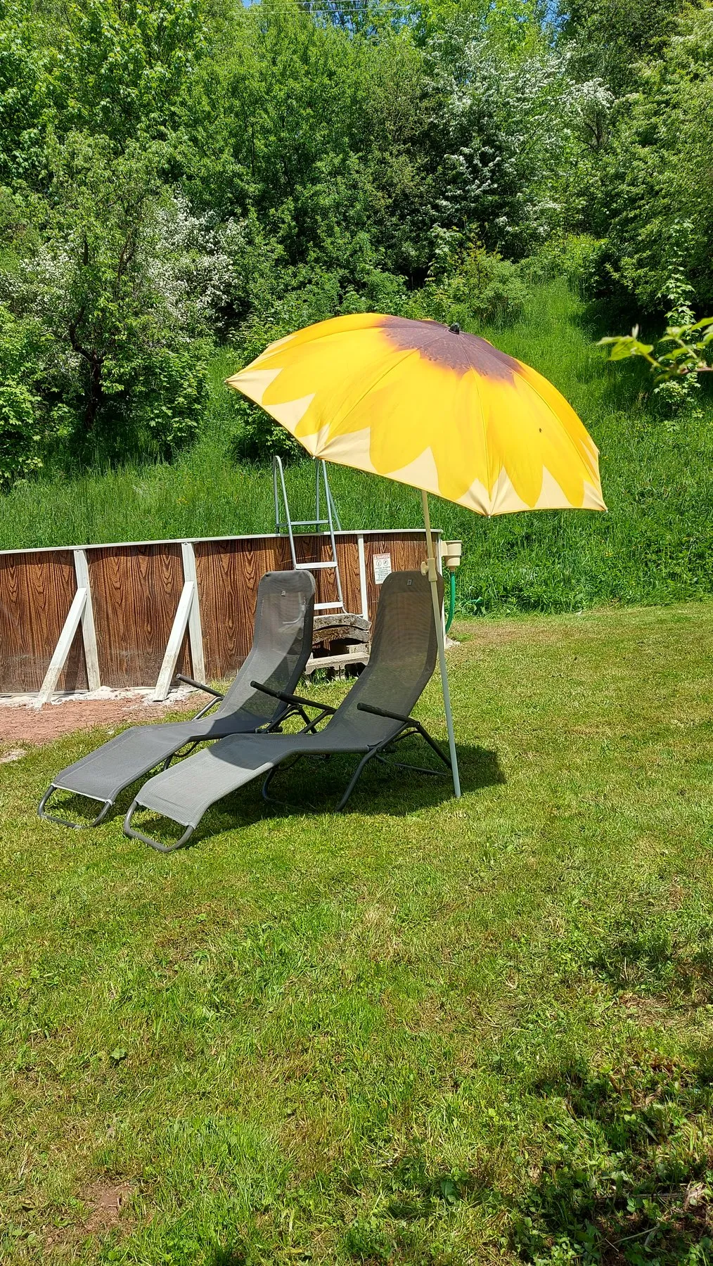 Het huis en de tuin van B&B Náš Dům