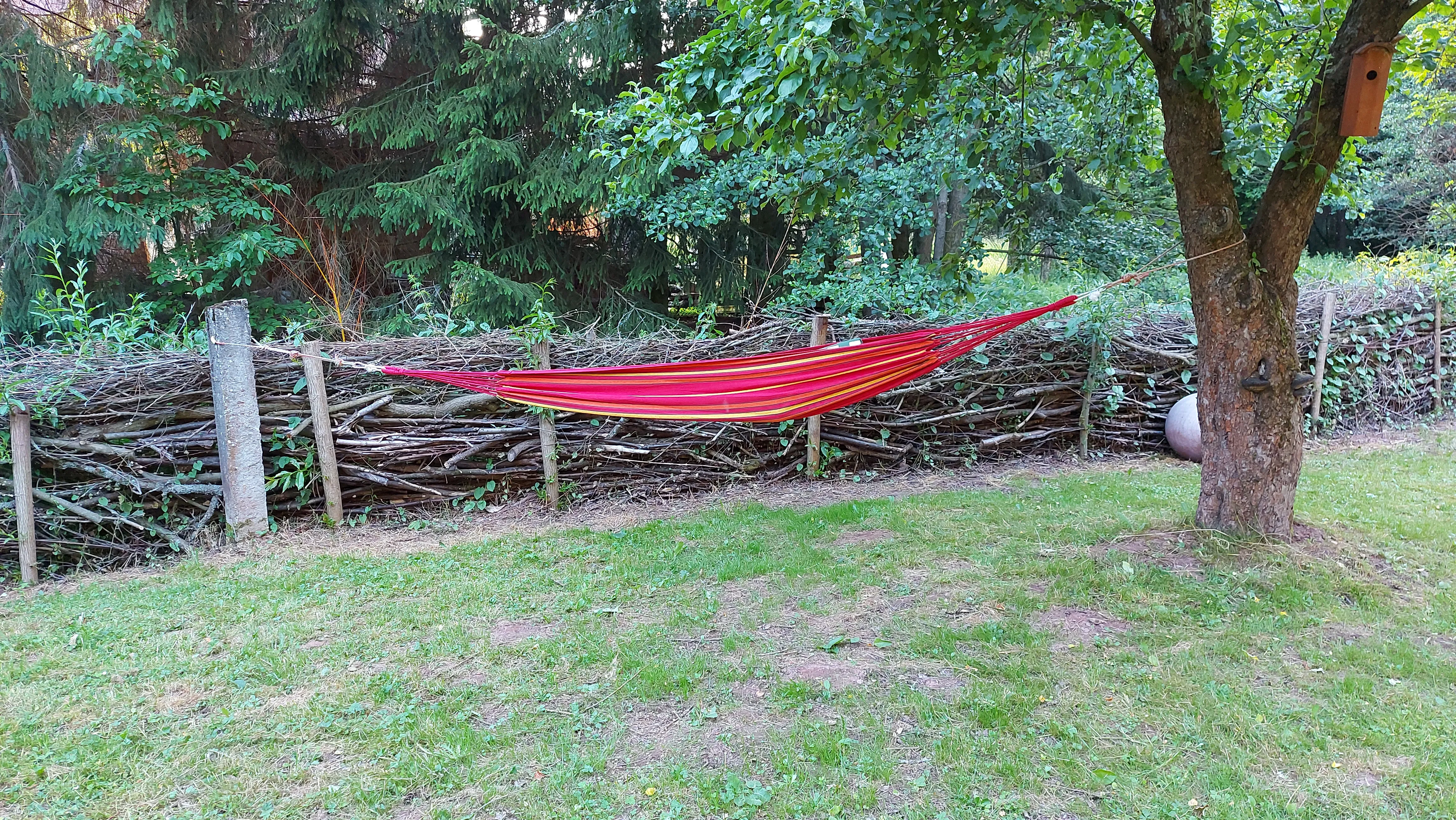 Het huis en de tuin van B&B Náš Dům