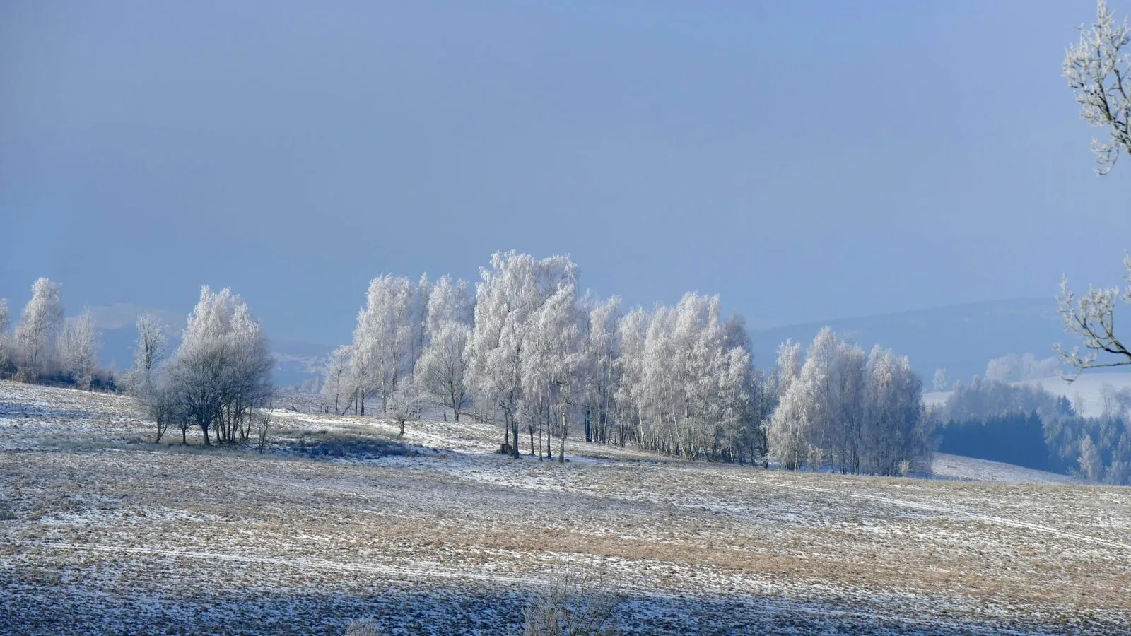 B&B Náš Dům in de sneeuw